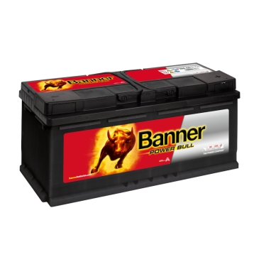 Banner P10040 Power Bull PROfessional 100Ah Autobatterie