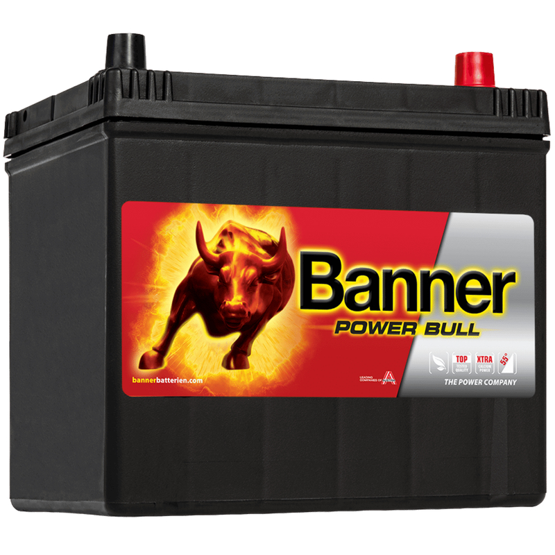 Banner Batterie Polfett 1kg