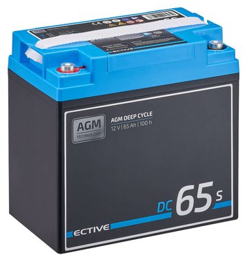 ECTIVE DC 65S AGM Deep Cycle mit LCD-Anzeige 65Ah...