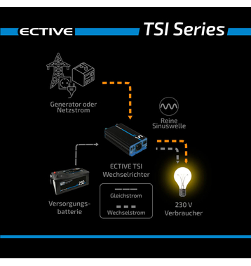 ECTIVE TSI 25 2500W/24V Sinus-Wechselrichter mit NVS- und USV-Funktion (gebraucht, Zustand gut)