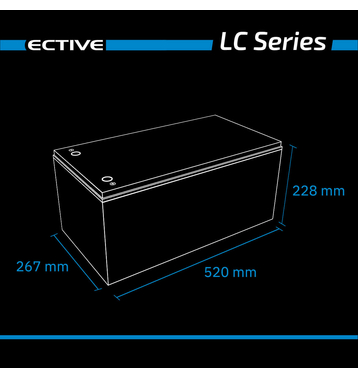 ECTIVE LC 200L 12V LiFePO4 Lithium Versorgungsbatterie 200 Ah (USt-befreit nach §12 Abs.3 Nr. 1 S.1 UStG)