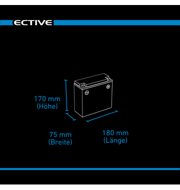 ECTIVE LC 20L BT 12V LiFePO4 Lithium Versorgungsbatterie 20 Ah (USt-befreit nach §12 Abs.3 Nr. 1 S.1 UStG)