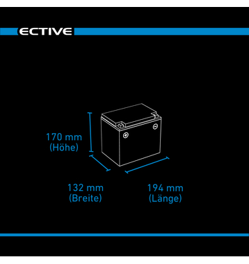 ECTIVE DC 38S AGM Deep Cycle mit LCD-Anzeige 38Ah Versorgungsbatterie (USt-befreit nach §12 Abs.3 Nr. 1 S.1 UStG)