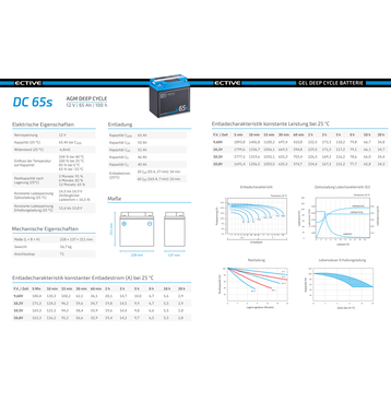 ECTIVE DC 65S AGM Deep Cycle mit LCD-Anzeige 65Ah Versorgungsbatterie (USt-befreit nach §12 Abs.3 Nr. 1 S.1 UStG)