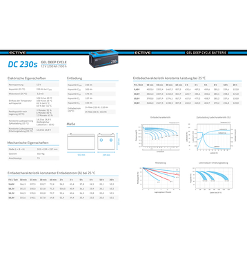 ECTIVE DC 230S GEL Deep Cycle mit LCD-Anzeige 230Ah Versorgungsbatterie (USt-befreit nach §12 Abs.3 Nr. 1 S.1 UStG)